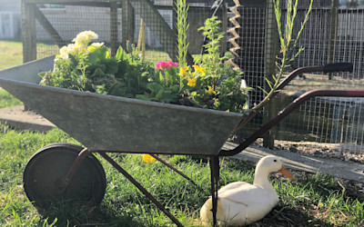 Photo of Little Einsteins Educare