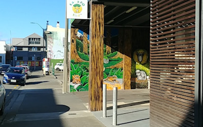 Photo of Kakapo Kids ECC