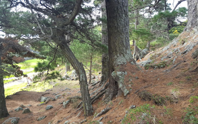 Photo of Pigeon Mountain Kindergarten