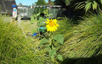 Photo of Central Kids Kindergartens - Hazelmere