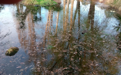 Photo of Landsdowne Terrace Playcentre