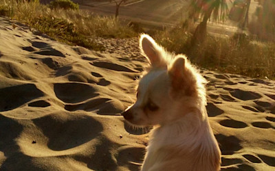 Photo of BestStart Styx Mill