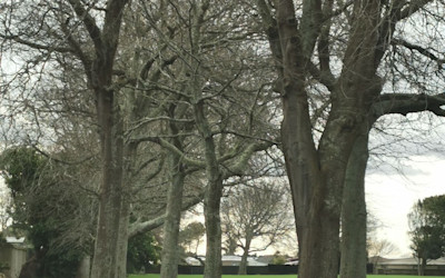 Photo of Kinderland Educare