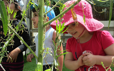 Photo of Little Earth Montessori Panmure