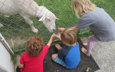 Photo of Simply Kids Preschool