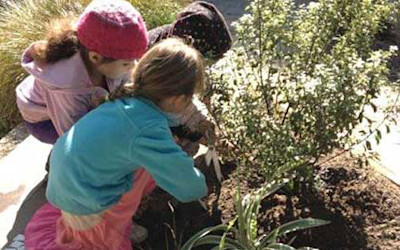 Photo of Kidsfirst Kindergartens Hornby