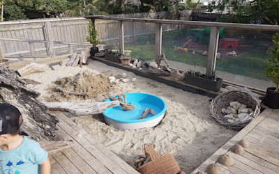 Photo of Shooting Stars Daycare