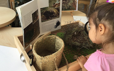 Photo of Bumblebees Whitford Childcare Centre