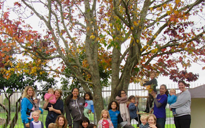 Photo of Glen Innes Playcentre