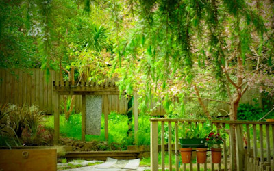 Photo of The Learning Centre Ltd