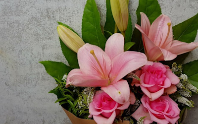 Photo of Footsteps Christian Community Preschool