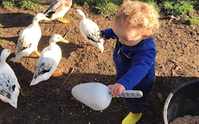 Photo of Old MacDonalds Rural Education & Care Centre