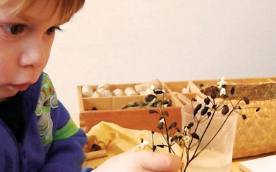 Photo of Bear Park Mt Eden