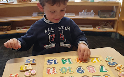 Photo of Remuera Montessori Ltd