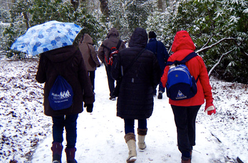 Winter-Walking-1