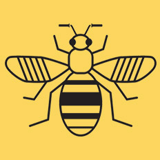 Beeline-1