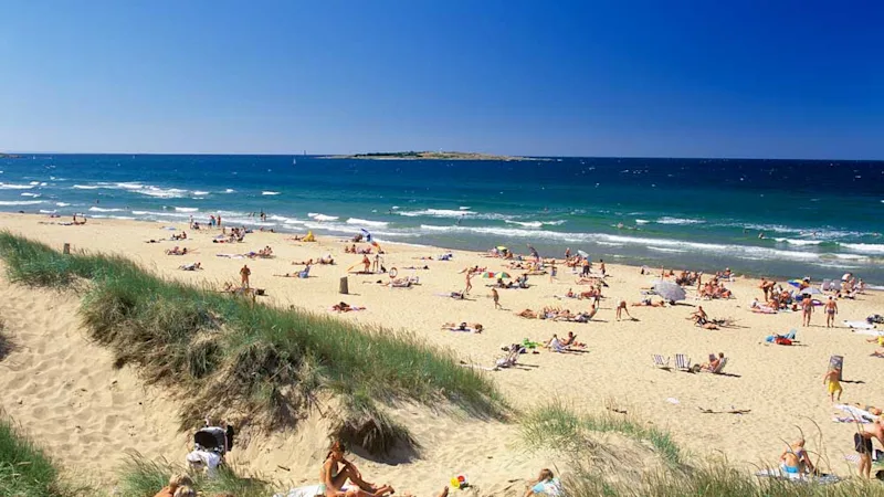 Tylosand beach in Hlmstad summer