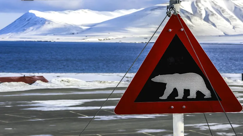 featured-svalbard-polar-bear-sign-winter.jpg