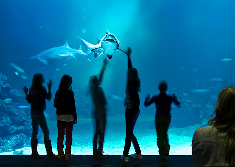 Akvariehallen Herman in Gothenburg.