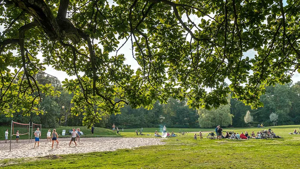 Azaleadalen, Slottsskogen. Foto: Steampipe Production Studio AB/Göteborg&co