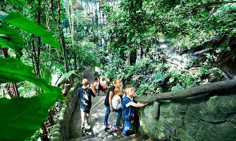 Rainforest at Universum in Gothenburg