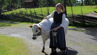 Maid and cow at Torekällberget in Södertälje. Photo: Kristina Svidén