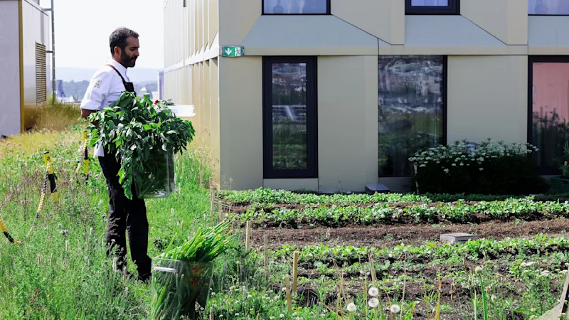 The rooftop garden at Clarion Hotel® The Hub