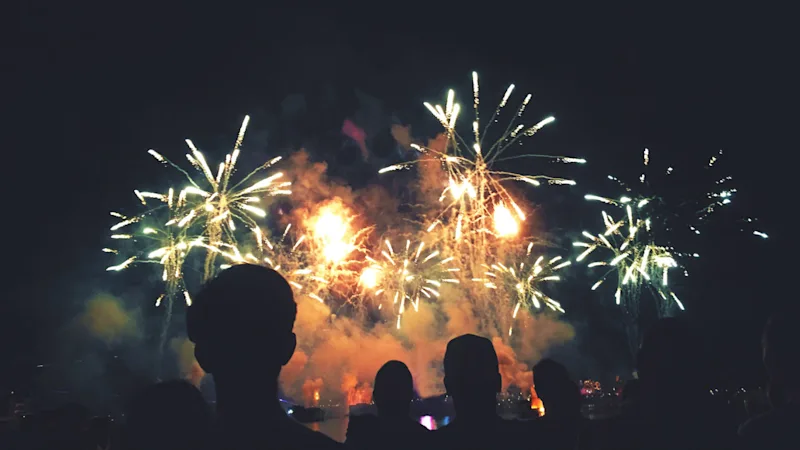 Fireworks new years eve silhouettes