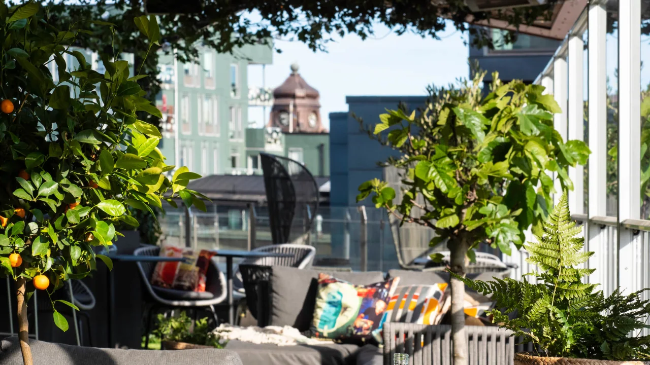 Drinkar i solen på Rooftop Garden Bar på Clarion Hotel Sign i Stockholm.