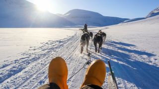 Dog sledding Svalbard_16_9