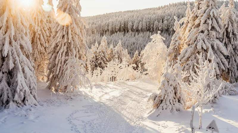 Umeå – Sunlight in snow at winter