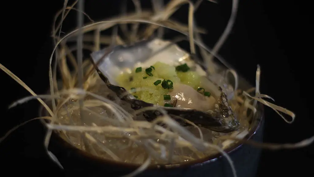 Oysters at Anima in Norrköping