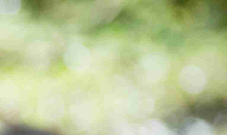 unicef_background-1200x600.jpg