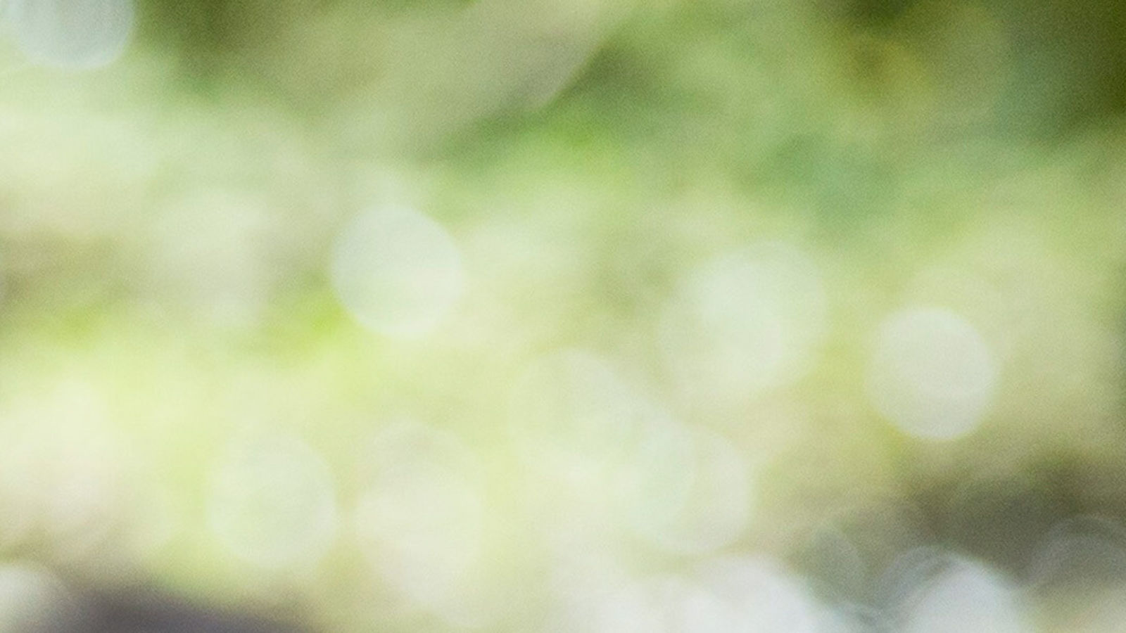unicef_background-1200x600.jpg