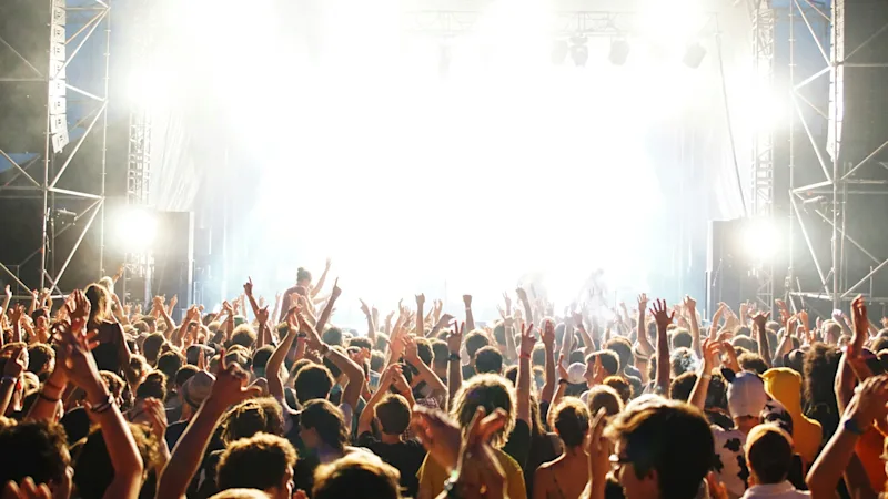 People at concert