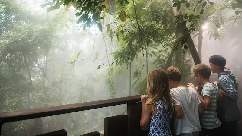 Rainforest overview at Universeum