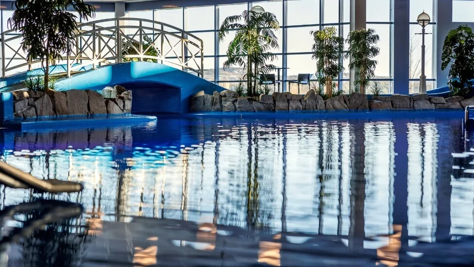 A indoor pool and a palm at Quality Hotel Skjærgårdens Badepark.