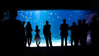 Människor vid akvariet på Universeum