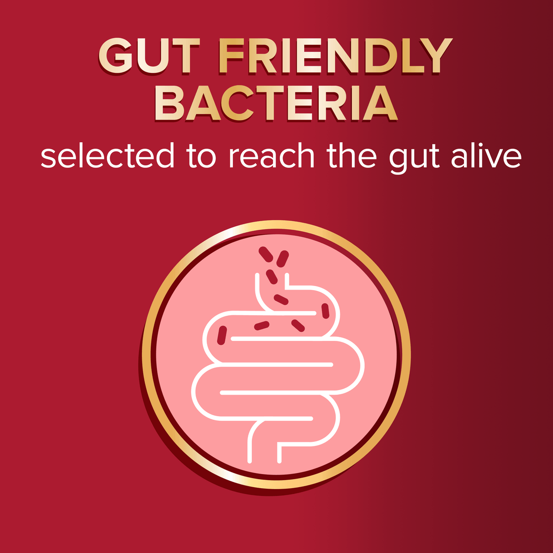 Seven Seas Omega-3 & Gut Friendly Bacteria packshot and capsule