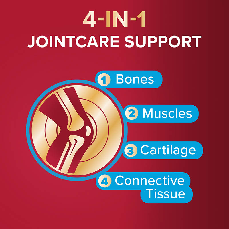 4 in 1 Jointcare support: bones, muscles, cartilage, connective tissue