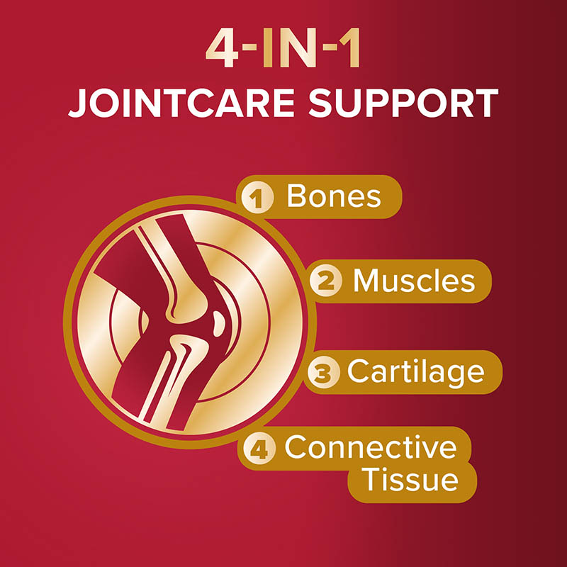 4 in 1 Jointcare support: bones, muscles, cartilage, connective tissue