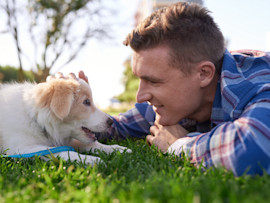 Puppy playing with owner outside in the grass