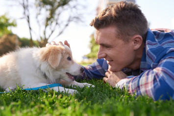 Puppy playing with owner outside in the grass