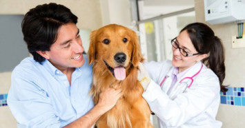 a man holding a golden retriever while a woman veterinarian does a checkup