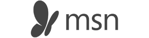 MSN logo