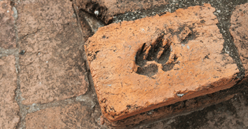 dog paw print in brick