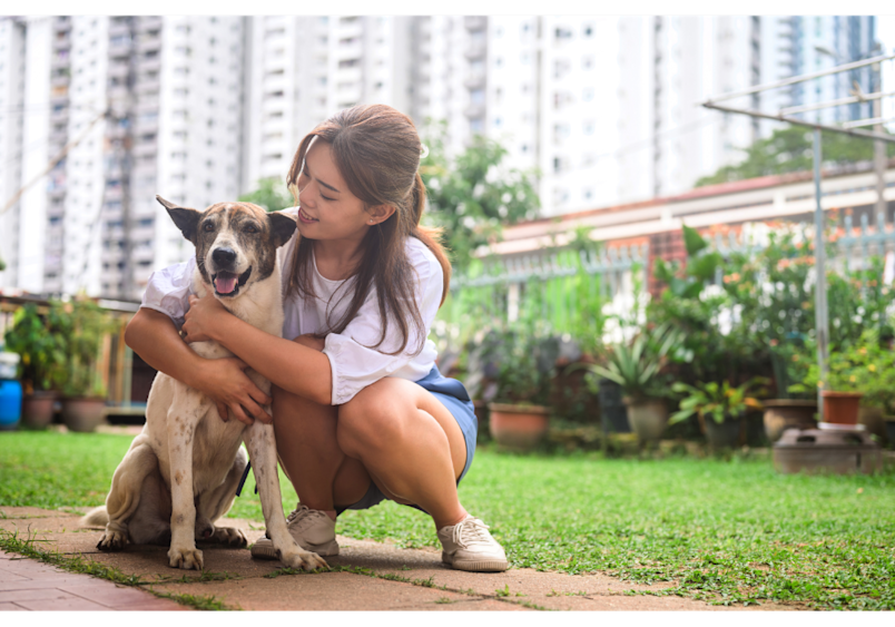 This peaceful moment with a dog in the yard represents the ideal setting for understanding how to get a urine sample from a dog during outdoor time, making it easier to learn how to collect urine sample from dog in familiar environments like this backyard setting.