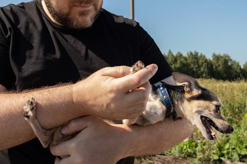 A bearded man in a black shirt holds a small tan and black dog against his chest and lifts one front paw for a closer look, with an overgrown field and open sky behind them.