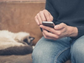 cat laying in background with man looking at phone