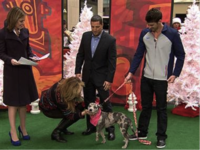 Michael Phelps shows off Stella (Penelope) on the Today Show's Bow to Wow segment. Photo Credit TODAY